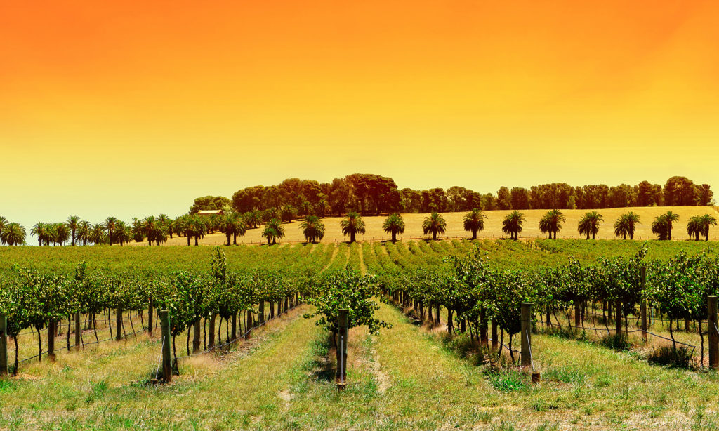 Esto puede ser un anuncio