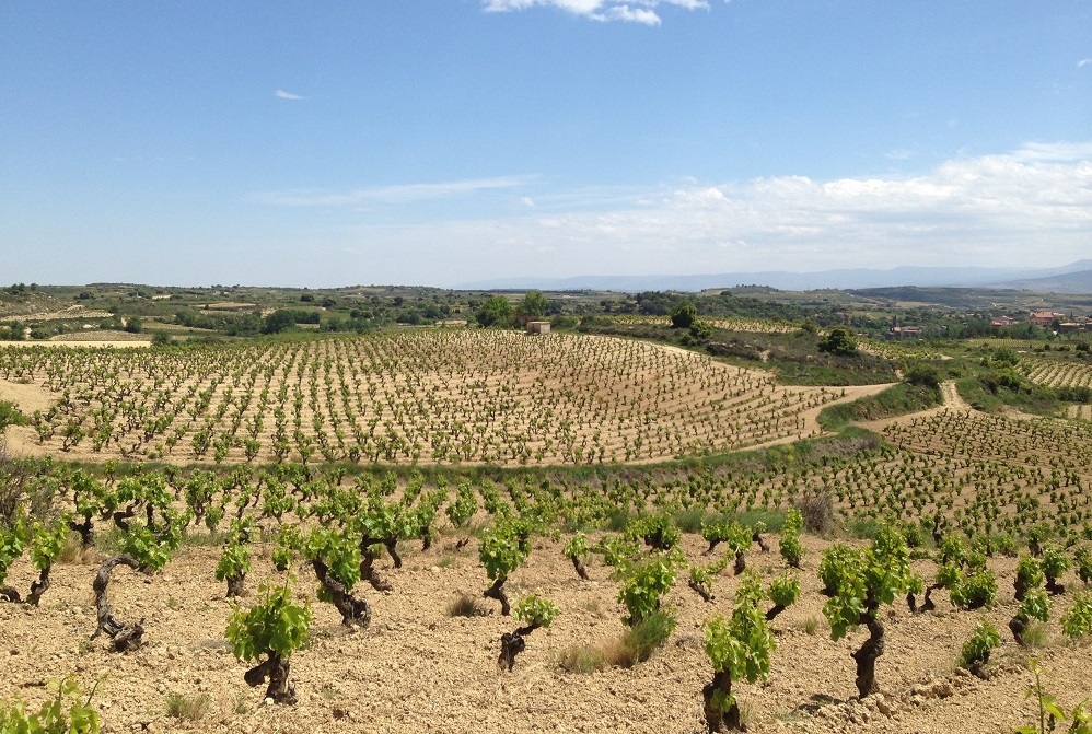 Izadi Blanco y la “autóctona revolution”