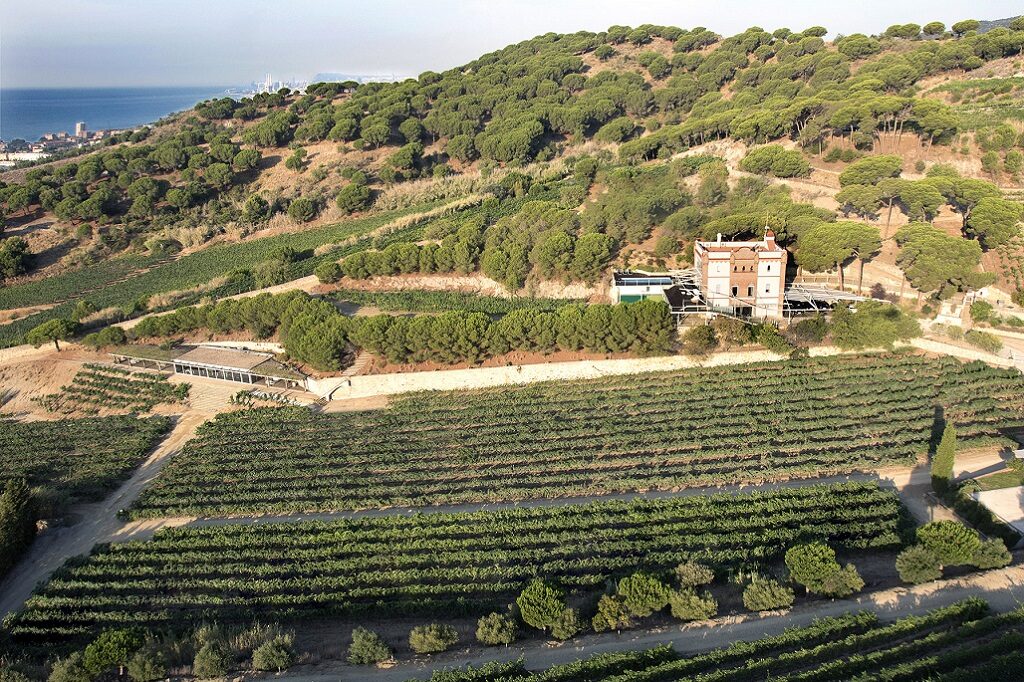 Quince vinos españoles para invertir, disfrutar y guardar, según Decanter