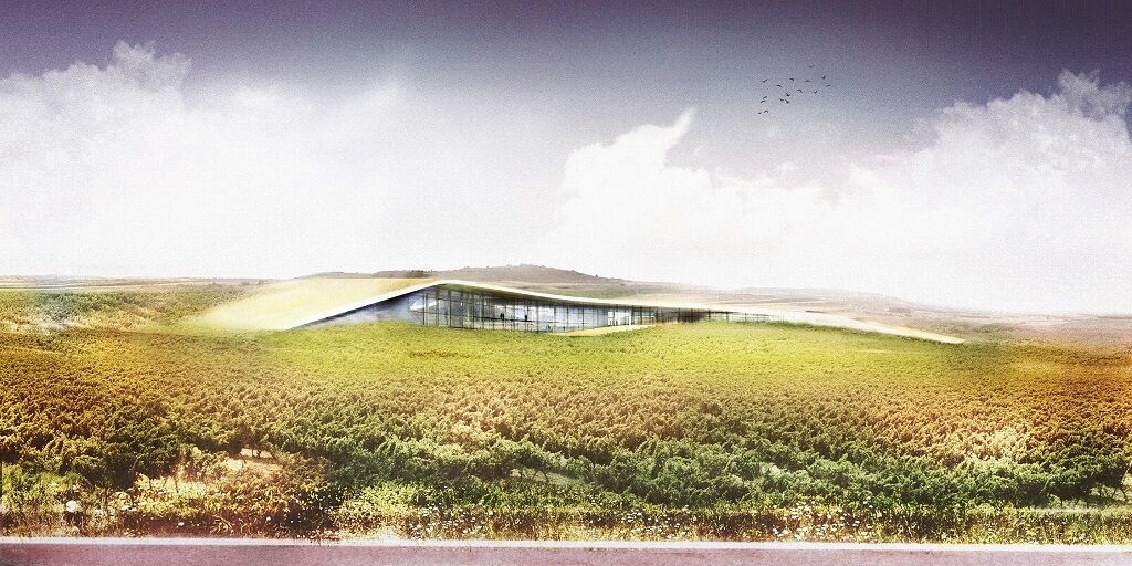 Los vinos españoles con mejor relación calidad-precio, según Wine Spectator