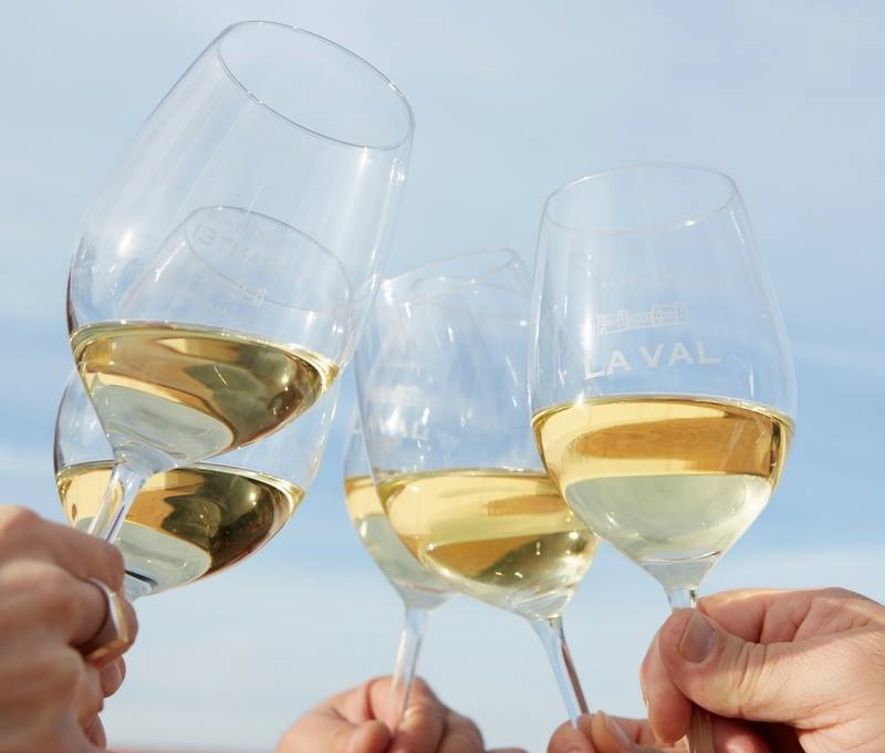 Dos españoles entre los diez vinos veganos recomendados por Decanter