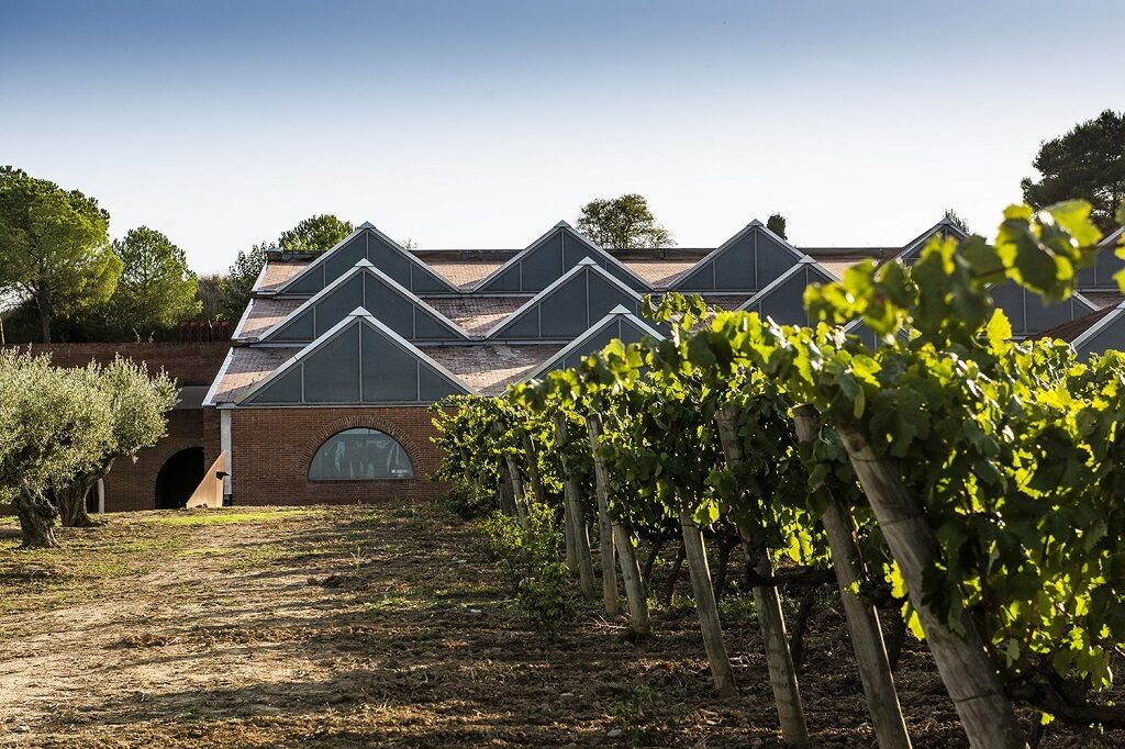 Siete bodegas españolas entre las cien mejores del mundo, según Wine & Spirits