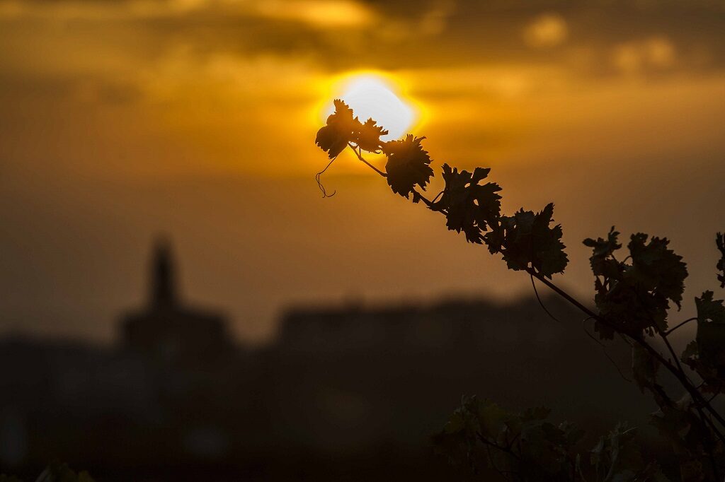Rioja y su futuro: de cuando ya es otra la receta a seguir 