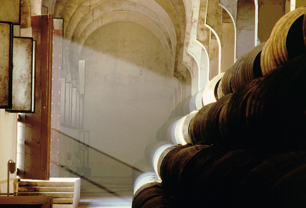 El cambio climático impedirá a mediados de siglo la crianza biológica de los vinos de Jerez