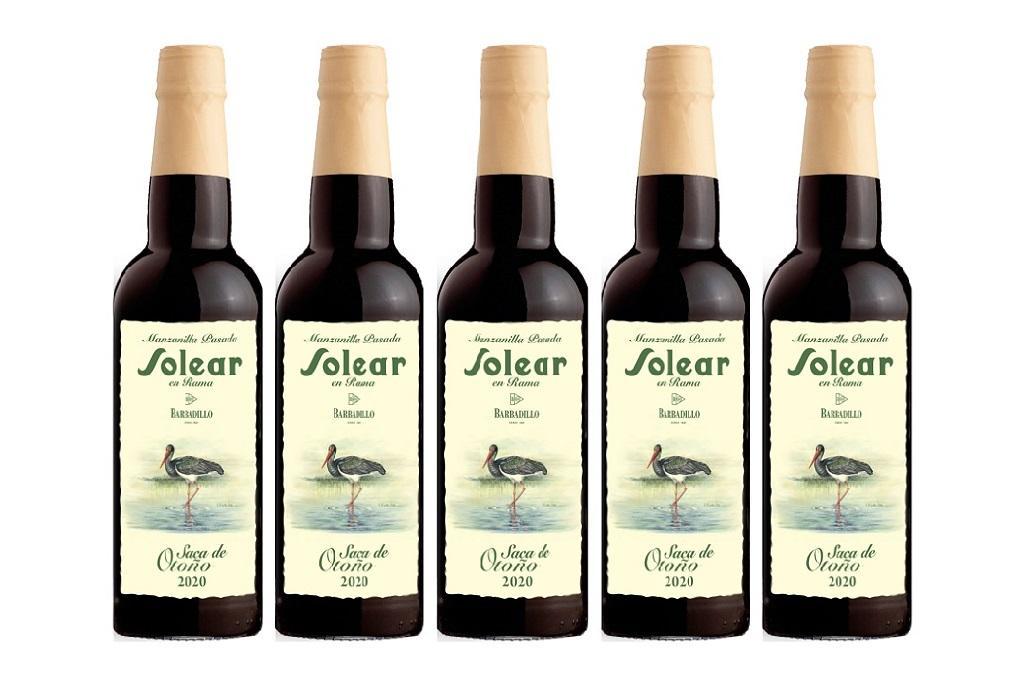 Saca de Otoño 2020, un estallido de intensidad