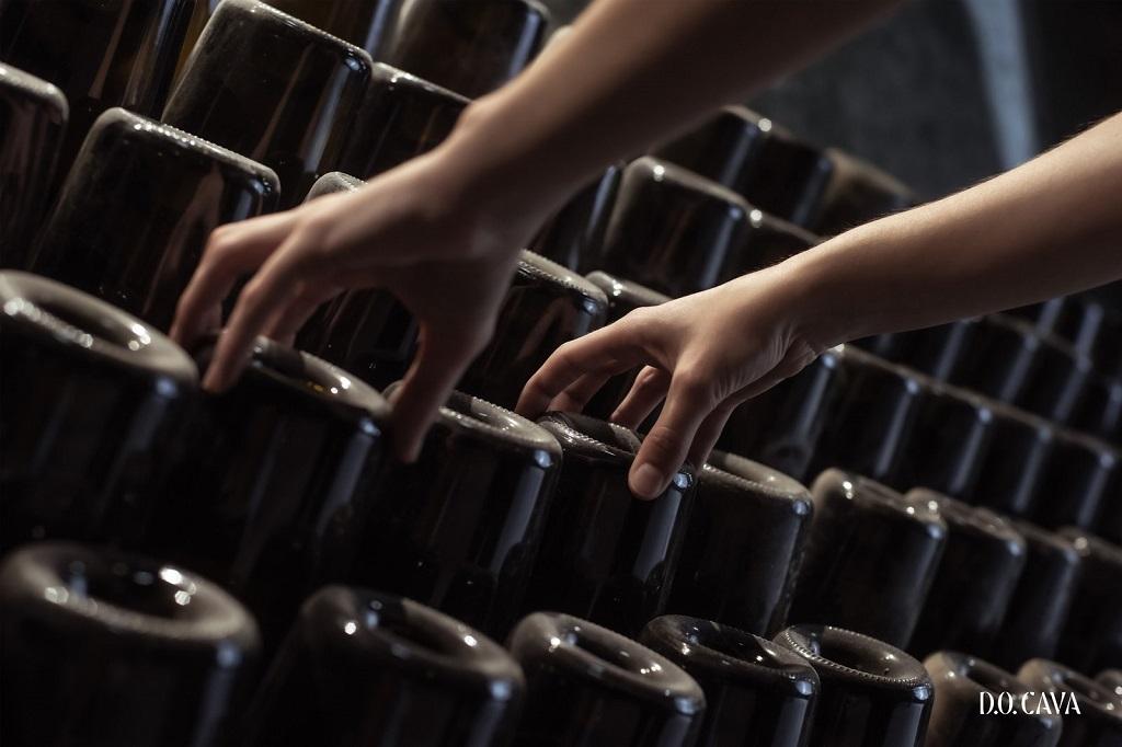 Cava: Extremadura el origen y Cataluña el destino