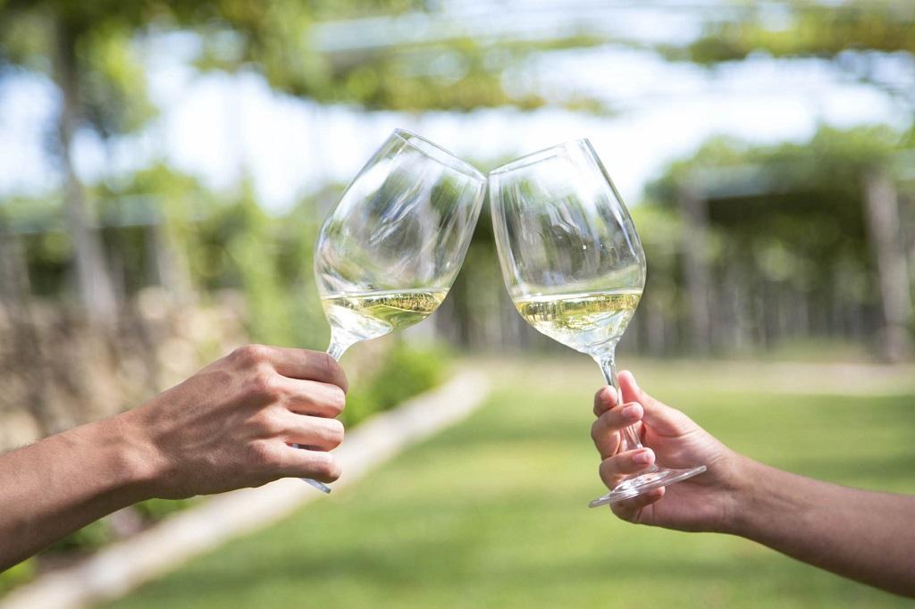 Entregados los premios del Concurso Albariño Rías Baixas