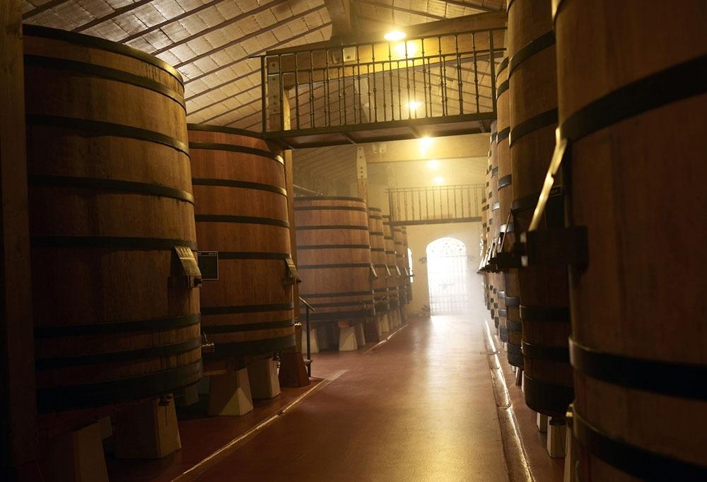 Dos españoles entre los once vinos revelación en Estados Unidos, según SevenFifty Daily