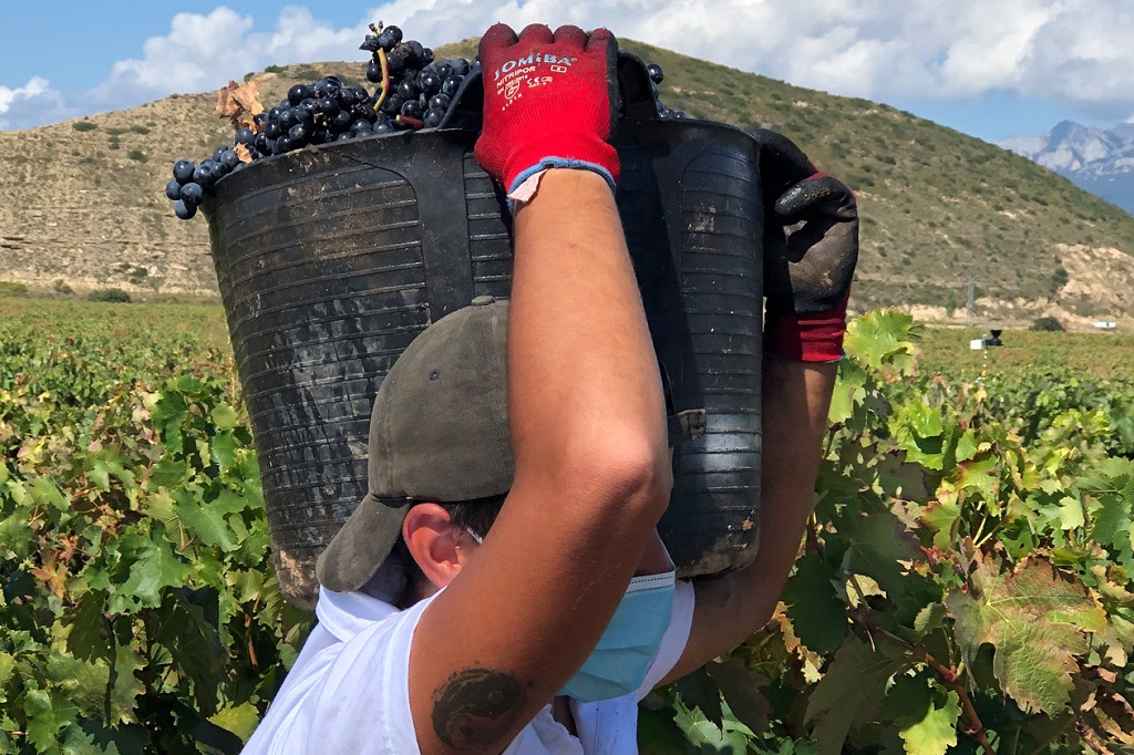 Las organizaciones agrarias piden ayudas para destilar vino de Rioja