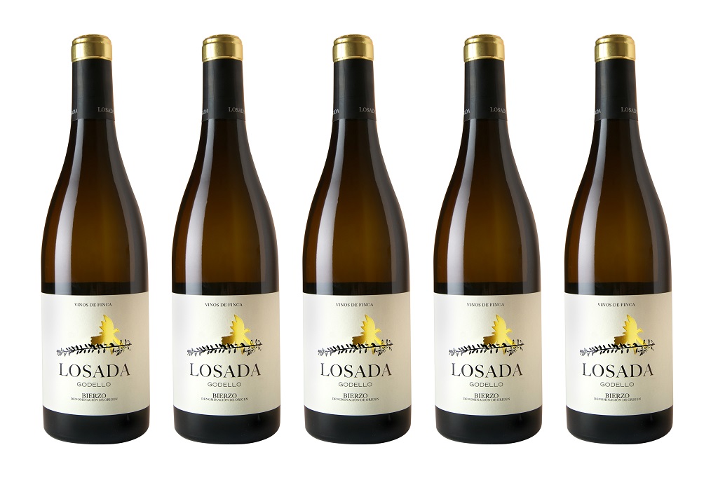 Losada Godello 2020, buscando con empeño su futuro