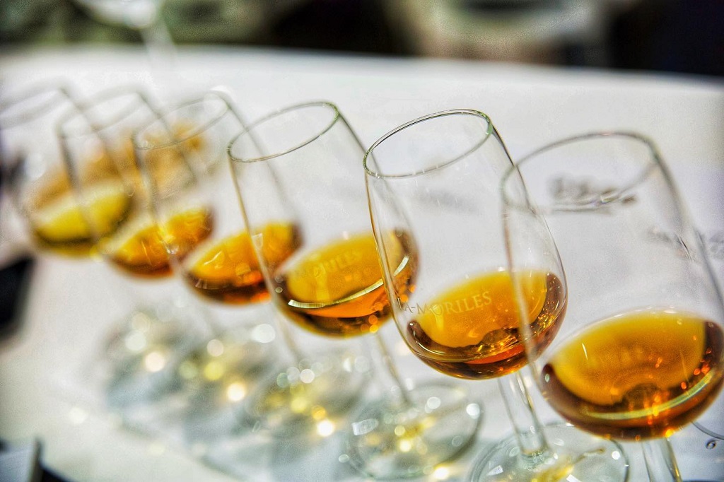 Diez vinos del “nuevo estilo” de Montilla-Moriles seleccionados por Decanter