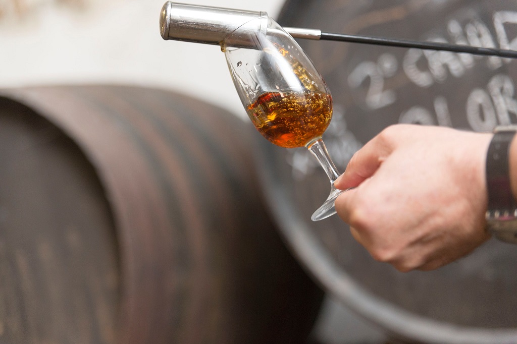 Los doce mejores vinos españoles, según la Guía Peñín