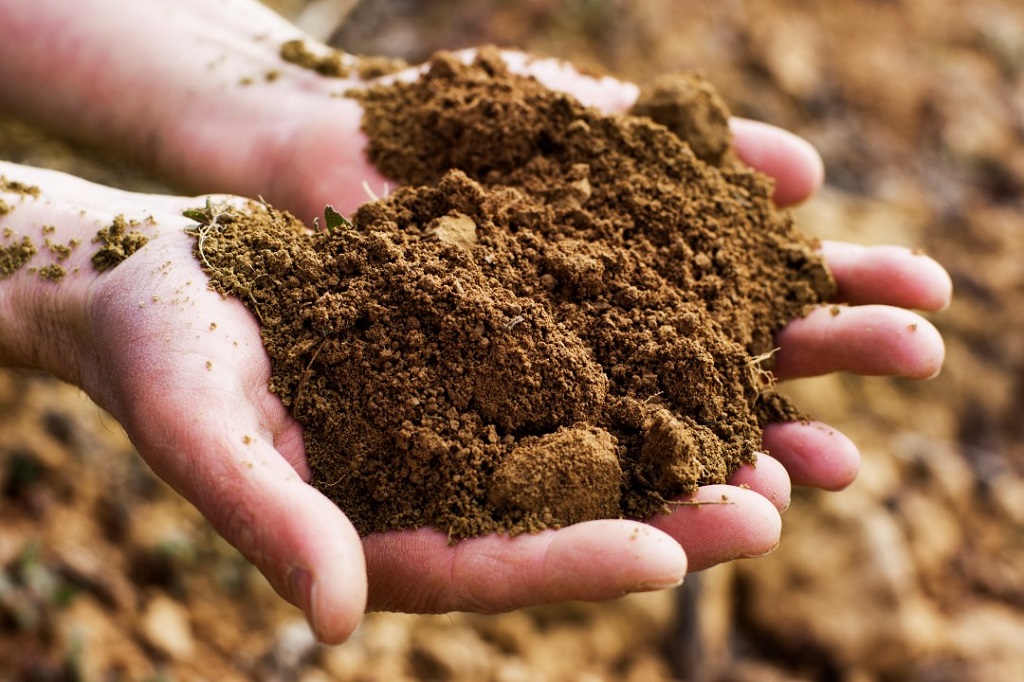 James Suckling concede cien puntos a cuatro vinos españoles 