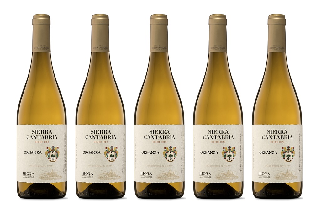 Organza 2019, un futuro casi tan largo como se quiera desear 