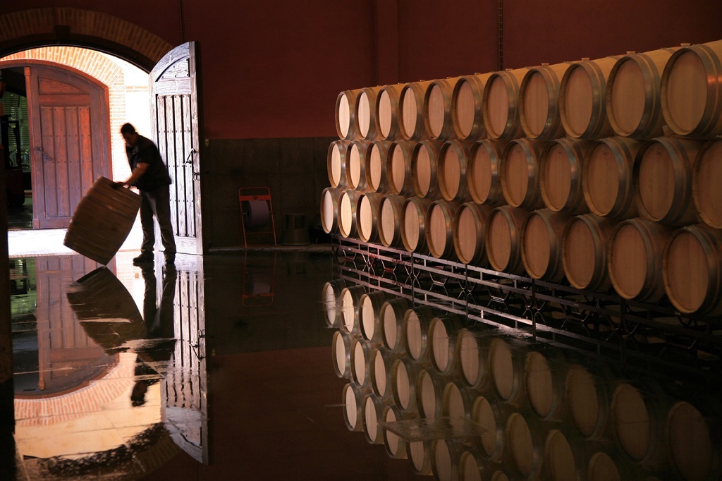 Liga 100: los nueve vinos con la más alta puntuación en la Guía Vinos Gourmets