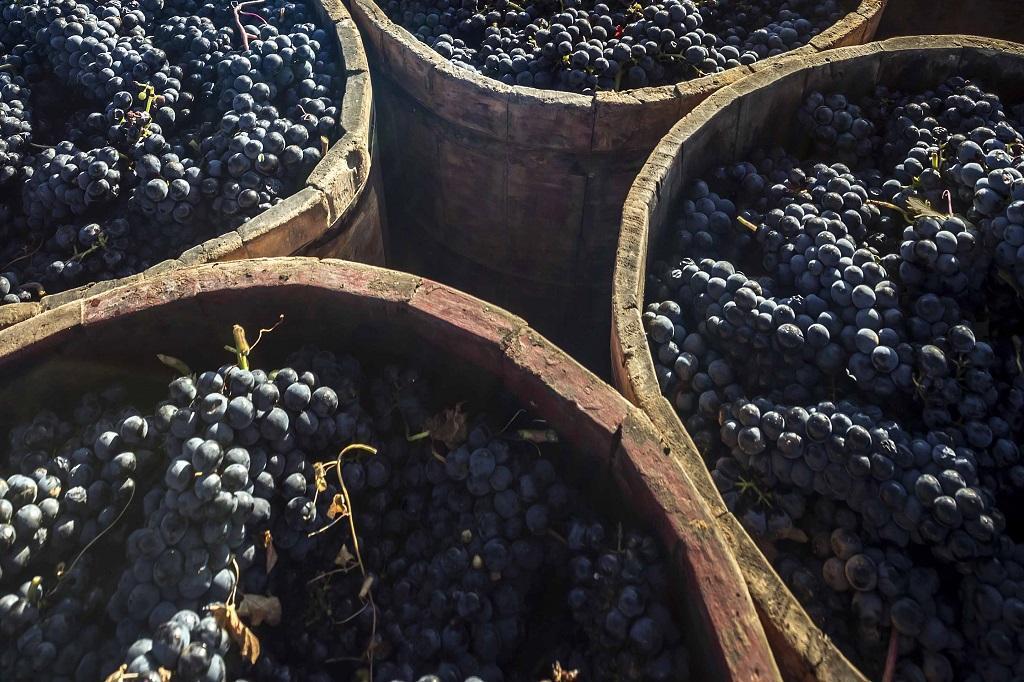 Los vinos más destacados de Rioja, según Tim Atkin