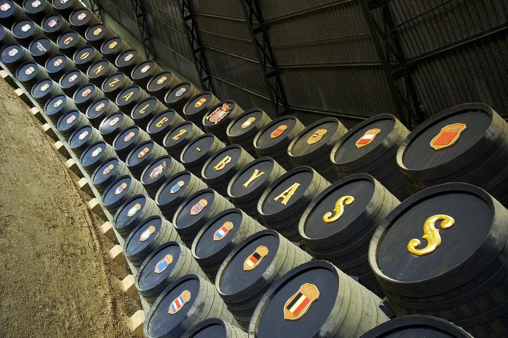 Una investigación avanza que los finos y manzanillas podrán tener menor grado alcohólico 