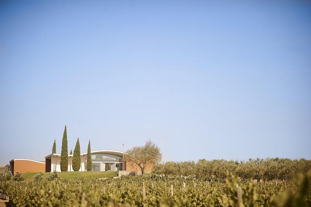 Seis españoles entre los mejores vinos orgánicos y biodinámicos, según Decanter