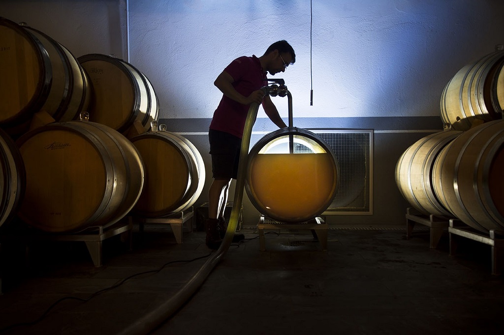 Seis blancos emergentes de variedades tradicionales en tierra de grandes tintos, según Forbes