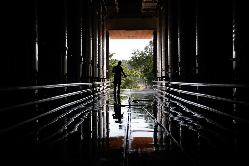 Los ocho tintos favoritos de Wine Enthusiast de una zona “que suele pasar desapercibida”