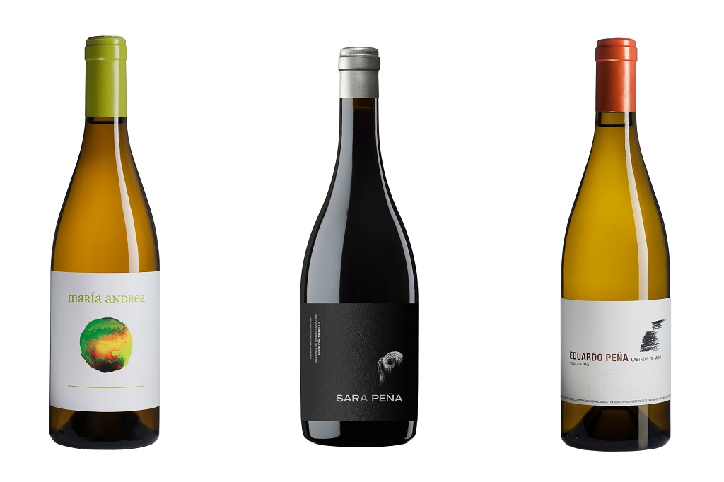 Eduardo Peña 2021: un blanco largo y complejo que se bebe con enorme placer