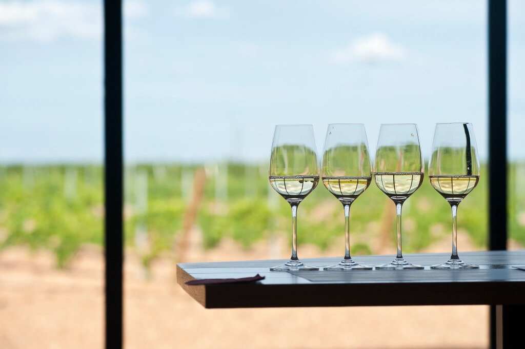 Críticas, elogios y los mejores blancos de Rueda, según la revista estadounidense Vinous