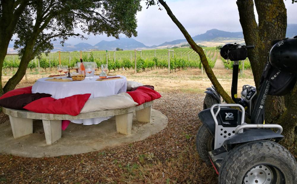 Dos bodegas españolas entre las doce mejores de Europa para visitar, según Decanter