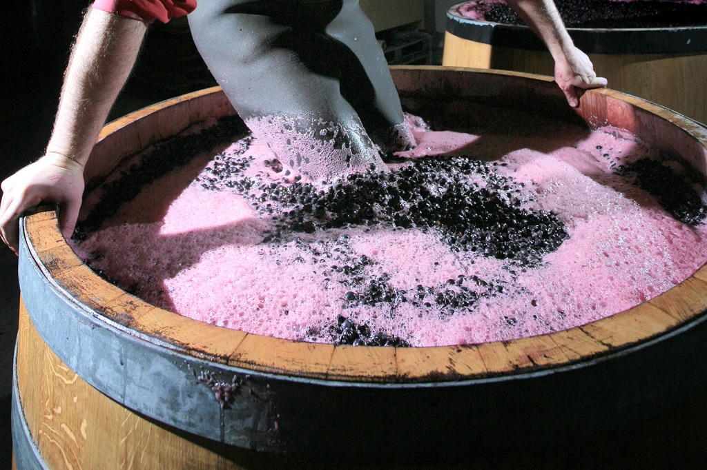 Ocho vinos españoles entre los cuarenta con mejor relación calidad-precio del mundo