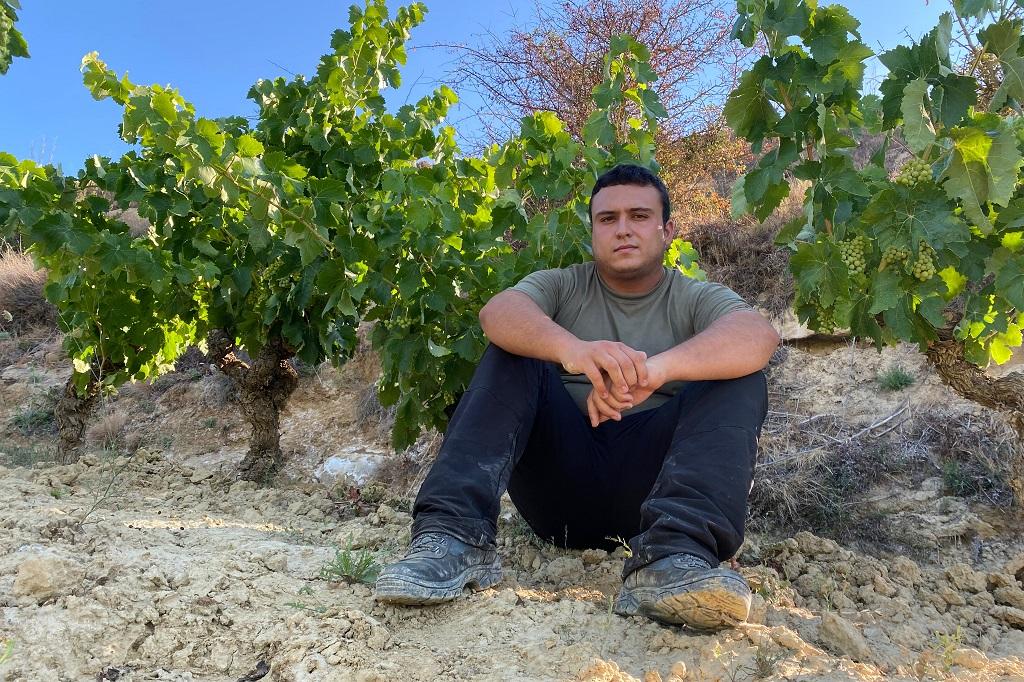 Seis grandes vinos de una nueva y talentosa generación de enólogos riojanos, según Decanter