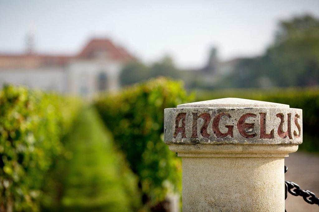 De Tenerife a Saint-Émilion: el día del año con más y mejores catas en Madrid