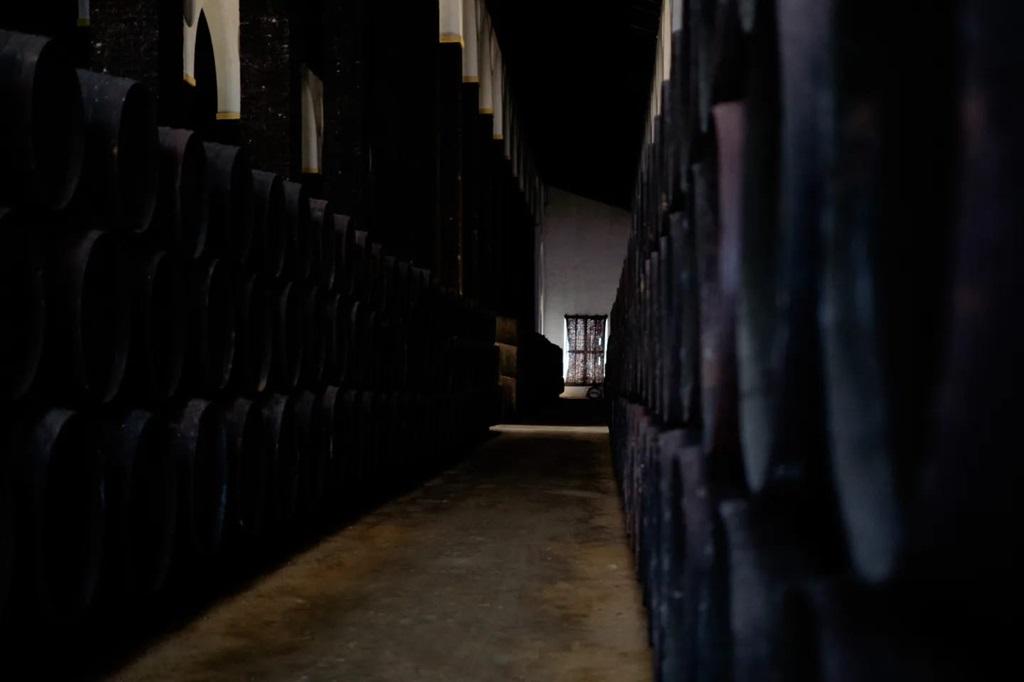 Los mejores vinos para probar en la Sherry Week, según Decanter 