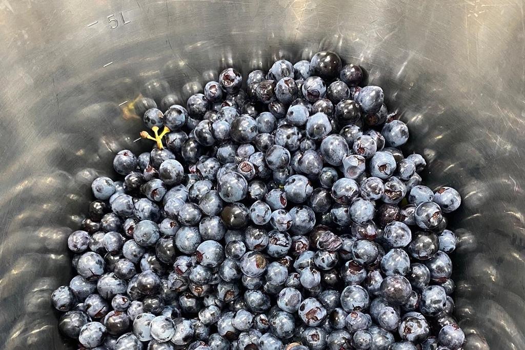 Regalos navideños: los mejores tintos para saborear España, según Forbes