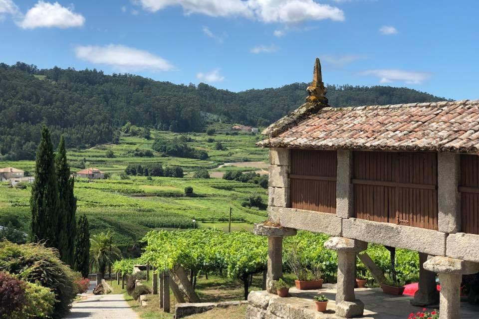 (Lo más leído) Once vinos con cien puntos en la Guía Proensa 2024