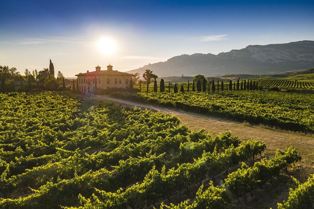 Nueve riojas increíbles con hasta 92 puntos, según Wine Spectator