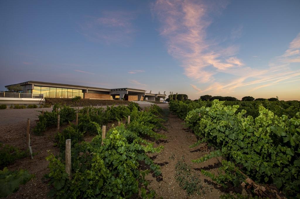 Las mejores opciones para celebrar el Día de la Verdejo, según Decanter