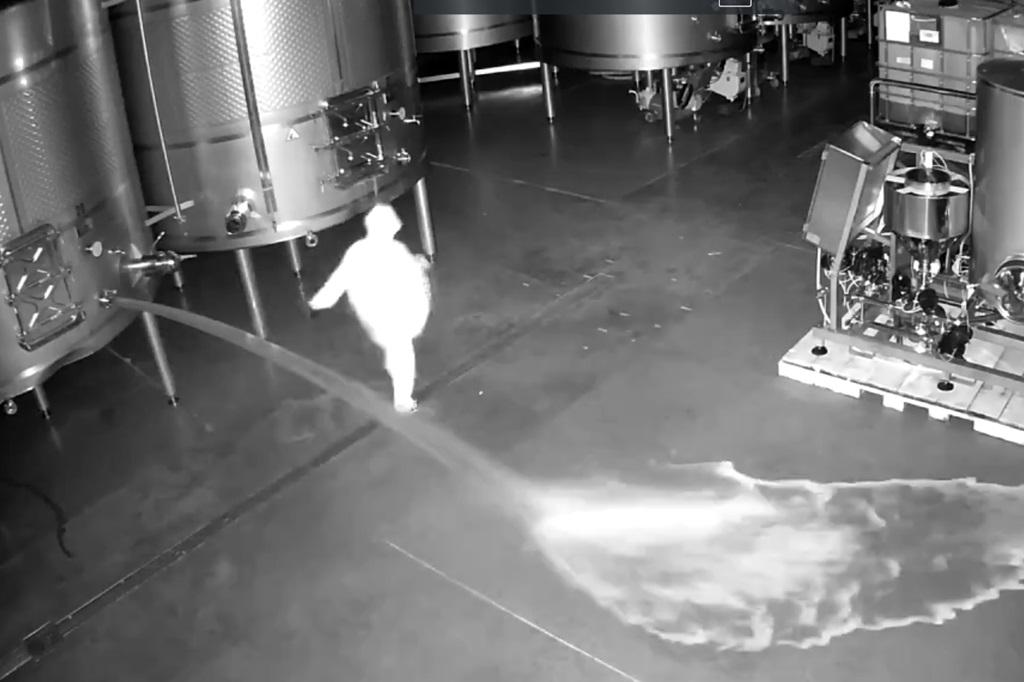 Detenida la presunta autora del asalto a la bodega Cepa 21