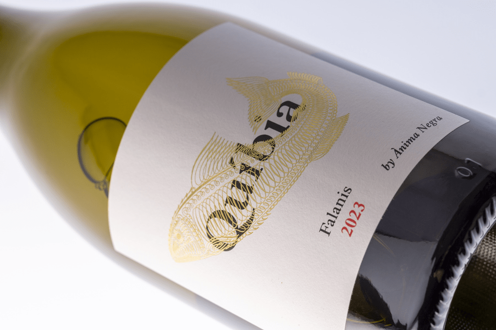 Quíbia 2023, la feliz influencia de su tierra, sus vientos y su mar