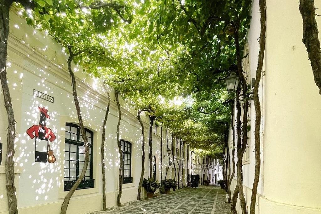 En fino veritas, según Jancis Robinson