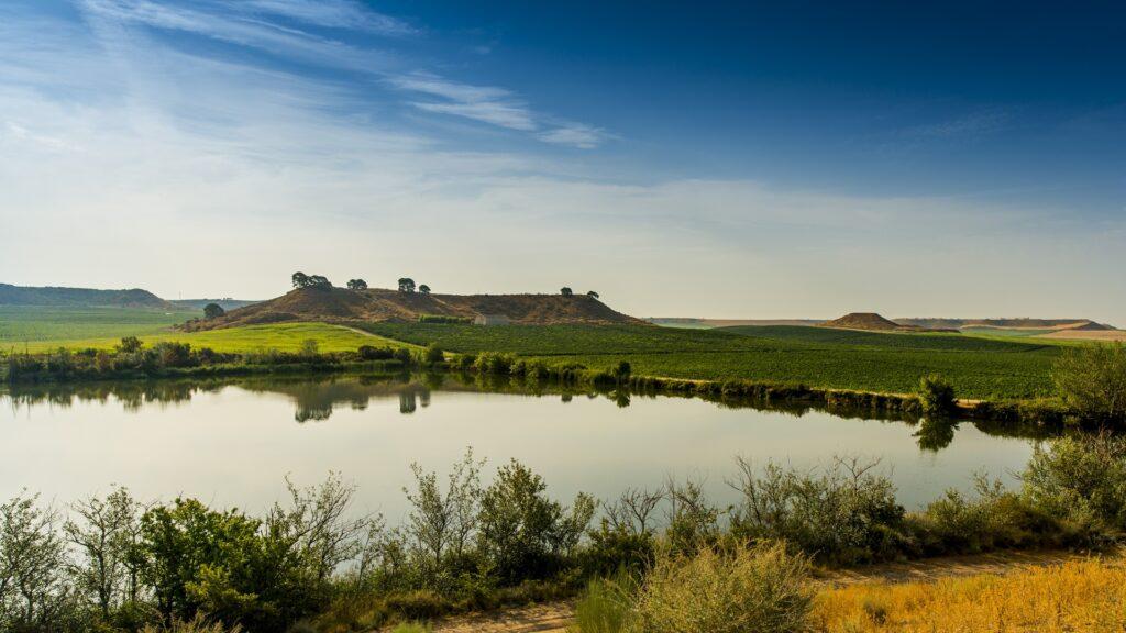 Un máster y un oro para España en los Global Organic and Vegan Masters 