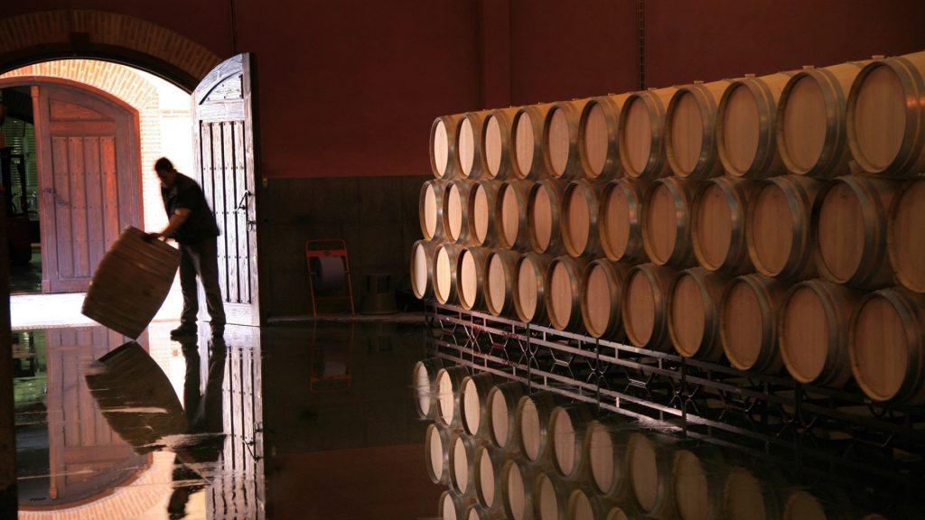 Toro, Ávila y Bierzo encabezan la listar de los vinos más caros de España