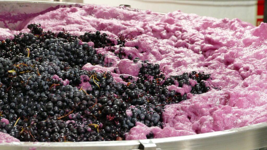 Las nuevas viejas formas de la Ribera del Duero y siete vinos que las representan, según Decanter