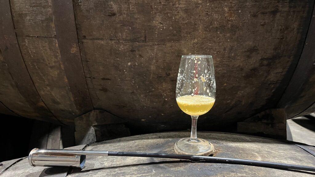 Descubriendo el fino y la manzanilla (con menos alcohol) del futuro 