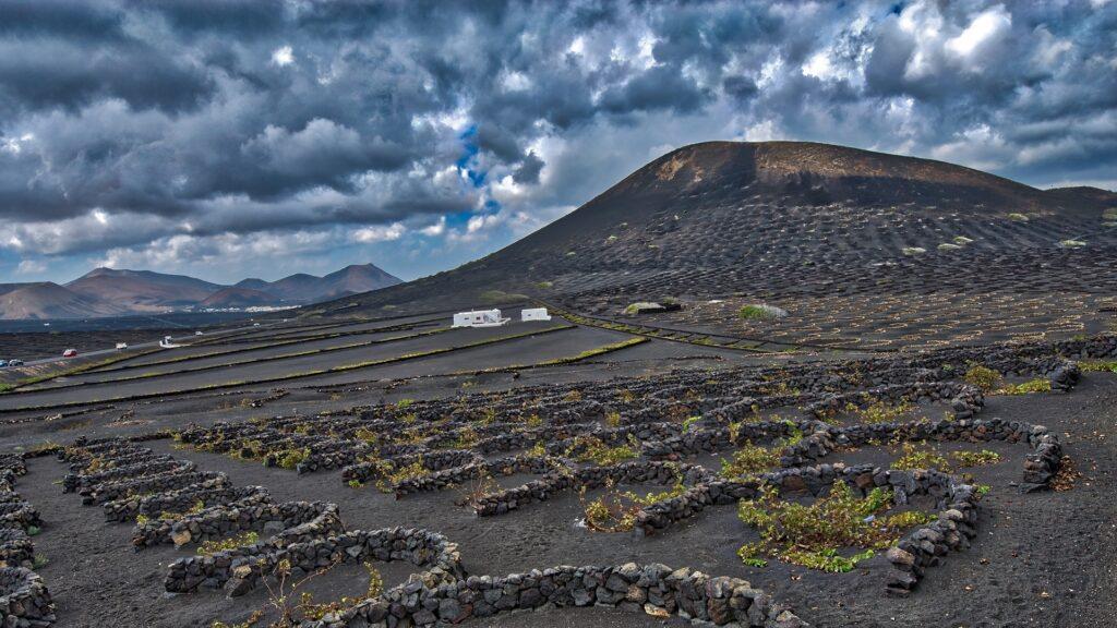 Cinco de los ocho mejores vinos volcánicos son españoles, según SevenFifty Daily 