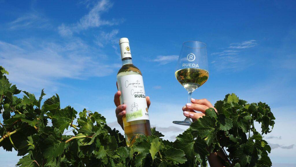 Las nueve semanas y media que ha durado la godello en la DO Rueda