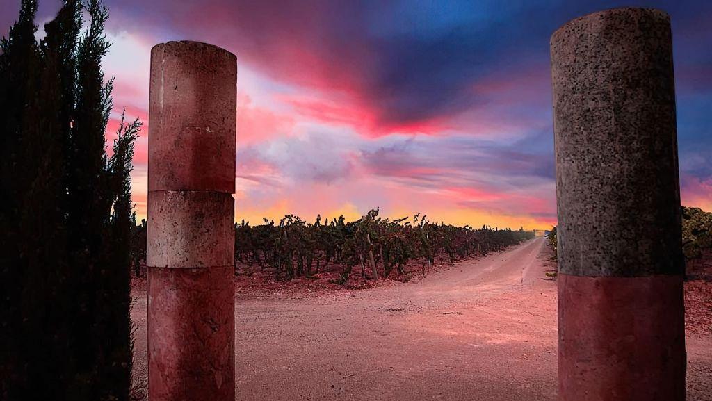 Adiós al que quiso ser y no fue el vino más caro del mundo