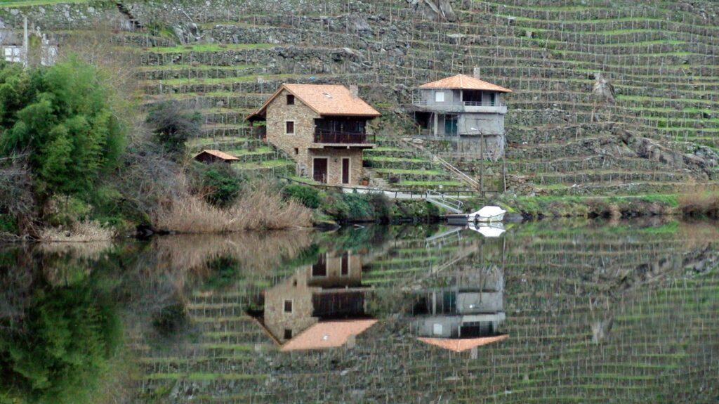 Galicia y sus diez mejores vinos (tintos incluidos), según James Suckling