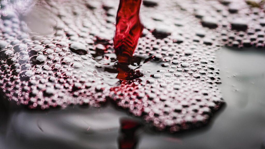 Los mejores vinos españoles de 2024, según Wine Searcher