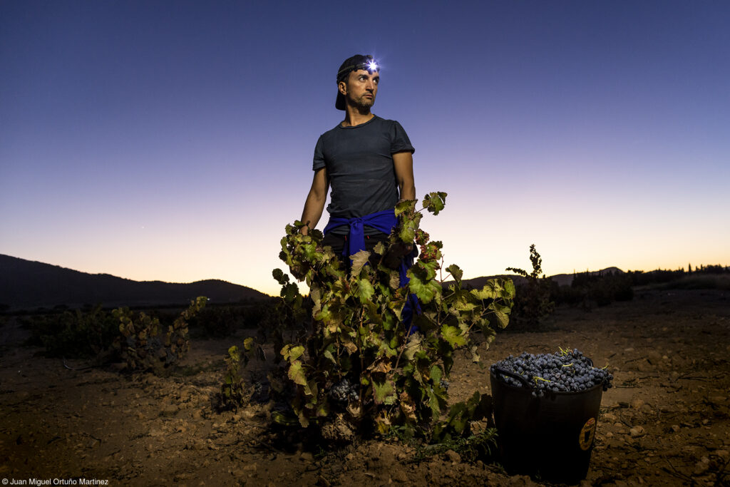 Un español, entre los finalistas del Errazuriz Wine Photographer of the Year