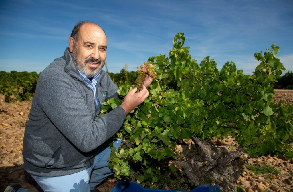 Javier Sanz, el viticultor inquieto