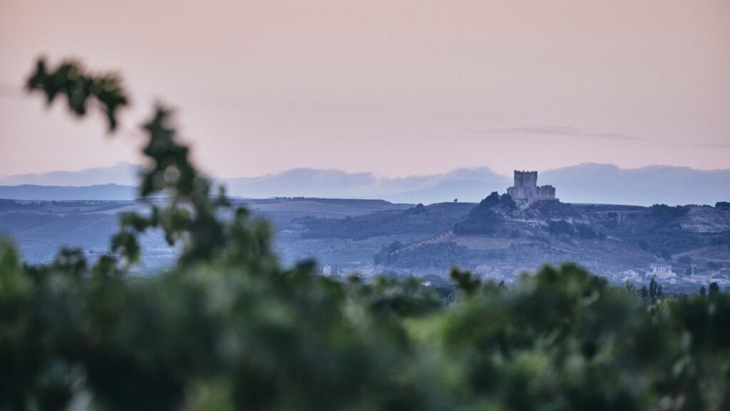 Día V: definitivamente el día de la victoria